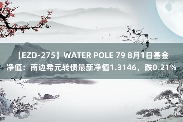 【EZD-275】WATER POLE 79 8月1日基金净值：南边希元转债最新净值1.3146，跌0.21%