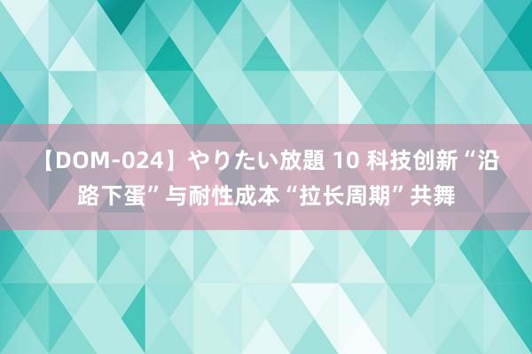 【DOM-024】やりたい放題 10 科技创新“沿路下蛋”与耐性成本“拉长周期”共舞