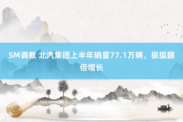 SM调教 北汽集团上半年销量77.1万辆，极狐翻倍增长