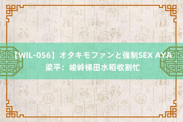 【WIL-056】オタキモファンと強制SEX AYA 梁平：峻岭梯田水稻收割忙