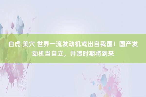 白虎 美穴 世界一流发动机或出自我国！国产发动机当自立，井喷时期将到来