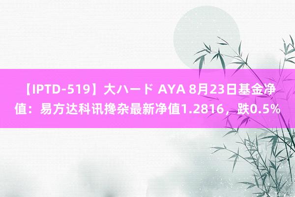 【IPTD-519】大ハード AYA 8月23日基金净值：易方达科讯搀杂最新净值1.2816，跌0.5%