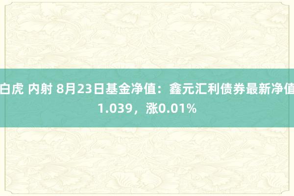 白虎 内射 8月23日基金净值：鑫元汇利债券最新净值1.039，涨0.01%