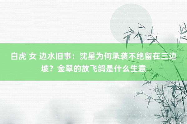 白虎 女 边水旧事：沈星为何承袭不绝留在三边坡？金翠的放飞鸽是什么生意