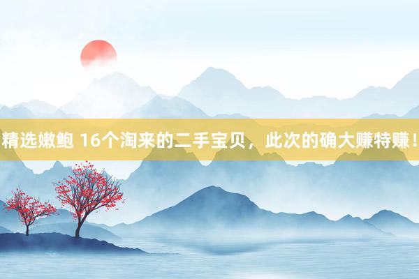 精选嫩鲍 16个淘来的二手宝贝，此次的确大赚特赚！