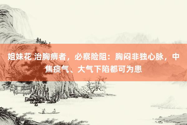 姐妹花 治胸痹者，必察险阻：胸闷非独心脉，中焦痰气、大气下陷都可为患