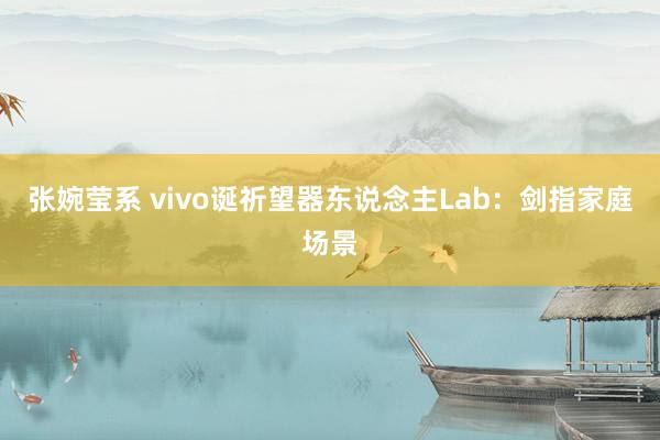 张婉莹系 vivo诞祈望器东说念主Lab：剑指家庭场景